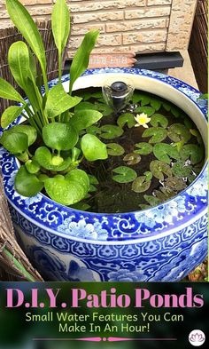 a blue and white planter filled with water plants