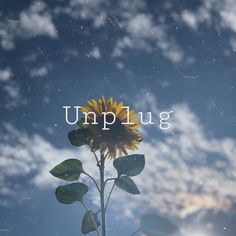 a sunflower with the words unplug on it in front of a cloudy sky