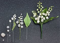 four different types of flowers and leaves on a black surface with white speckles