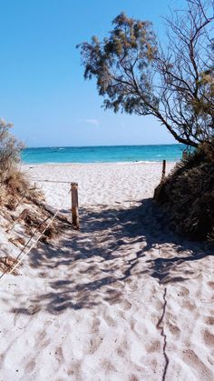 a sandy path leading to the ocean on a sunny day