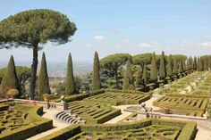 an elaborate garden with hedges and trees in the middle, surrounded by greenery on both sides