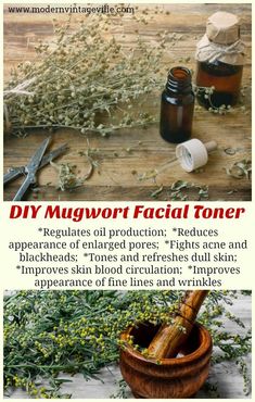 Mugwort Witchcraft Uses, Mugwort Uses, Witches Recipes, Apothecary Supplies, Herbal Diy, Homegrown Food, Facial Skincare, Free Skincare