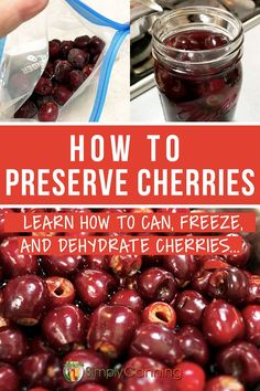 how to preserve cherries learn how to freeze and dehydrate cherries