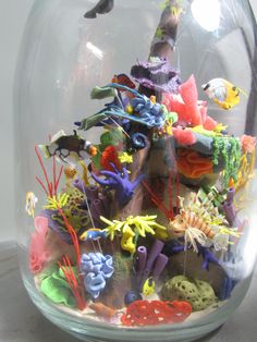 a fish bowl filled with different types of sea life