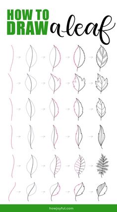 how to draw leaves with the text