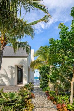 a pathway leading to a white house with palm trees and water in the back ground