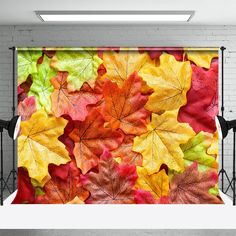 an image of colorful autumn leaves printed on a backdrop for a photo studio or video shoot