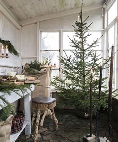 christmas trees are lined up in the corner of a room with white walls and windows