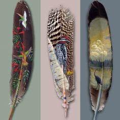 three feathers with different designs on them