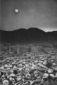 black and white photograph of many skulls on the ground with mountains in the background at night