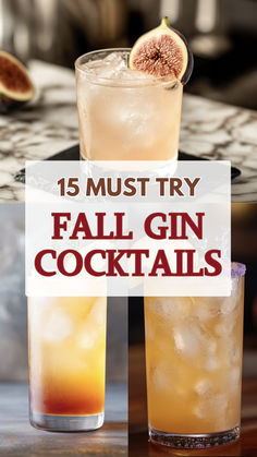 Fall Gin Cocktails Fall Gin Cocktails, Alcoholic Drinks Gin, Fall Mixed Drinks, Gin Mixed Drinks, Fall Drinks Alcohol, Gin Drink Recipes, Fall Cocktails Recipes