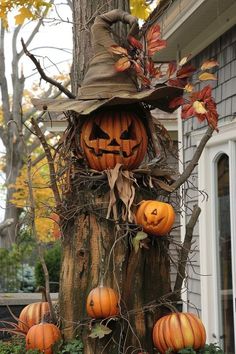 a tree with pumpkins on it and a scarecrow's hat hanging from the top