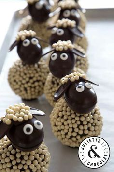 chocolate covered sheep are lined up on a tray