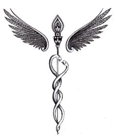 a cadus symbol with wings and a snake wrapped around it