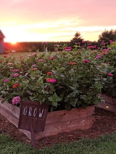 a row of wooden planters filled with pink and purple flowers in front of a barn