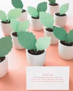 there are many potted plants that have been made into plant seed tags on them