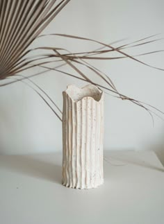 a white vase sitting on top of a table next to a plant