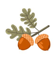 two acorns hanging from a tree branch with leaves on the top and bottom