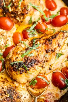 a pan filled with chicken, tomatoes and herbs