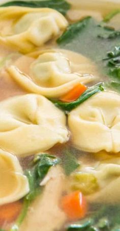 a bowl filled with soup and dumplings in broth, carrots and spinach