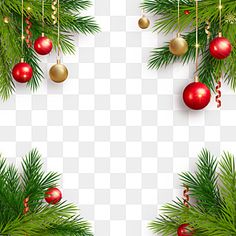 christmas tree branches with ornaments hanging from them, transparent background png and psd