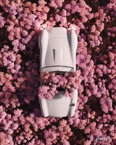 an overhead view of a white car surrounded by pink flowers