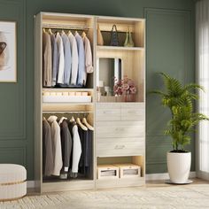 an open closet with clothes hanging on shelves and a potted plant in the corner