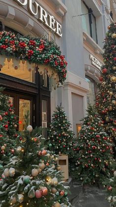 christmas trees are lined up in front of a store