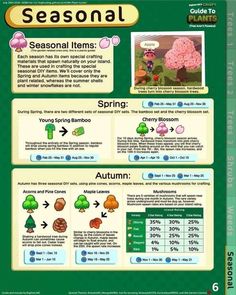 the game's menu for seasonal items is shown in this screenshoter image