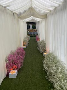 an outdoor event with white draping and flowers in planters on the grass