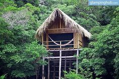 a tree house in the middle of trees with a hammock hanging from it's roof