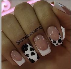 Simple Nail Designs Cow Print, Cute Cow Print Nail Ideas, Grey Cow Print Nails, Cow Print Coffin Acrylic Nails, Cute Nail Designs Cow Print, Nails Acrylic Short Cow Print, Cowprint Nails Square, Cow French Tip Nails Short, Western Theme Nails Cowboy Boots