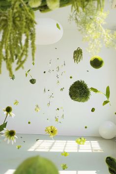 green plants and flowers floating in the air next to a white wall with sunlight coming through it