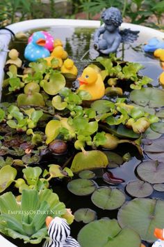 several rubber ducks in a pond with lily pads