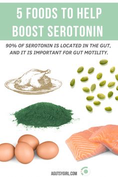 5 Foods to Help Boost Serotonin. 90% of serotonin is contained within the gut and is in control of motility. Tryptophan and serotonin agutsygirl.com Leaky Gut Meal Plan, Boost Serotonin, Turkey Breakfast, Holistic Health Remedies, Holistic Health Coach, Roasted Beets, Rich In Protein, Holistic Nutrition, Essential Fatty Acids