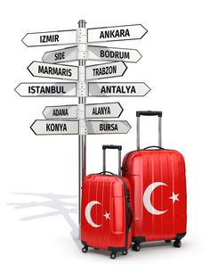 two suitcases are standing in front of a sign with directions to different countries on it