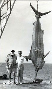 two men standing next to a large fish on the beach