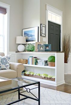 the living room is clean and ready for us to use it's shelves as shelving