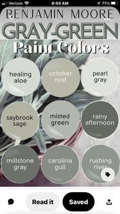 the color scheme for gray - green paint colors is shown on an instagram page