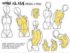 an image of a woman's torso in various poses