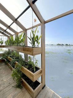 plants are growing in wooden planters on the deck overlooking water and trees, while another planter is hanging from an overhang