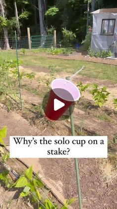 a red and pink cup sitting on top of a green pole next to a garden