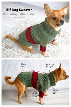 a small dog wearing a sweater with measurements