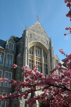 a large building with pink flowers in the foreground and a blue sky behind it