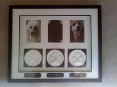 a framed photo with four different dogs in it