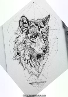 a drawing of a wolf with geometric shapes on it's face and the head is drawn