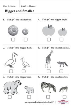 the worksheet for an animal and bird matching game