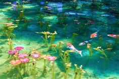 several fish swimming in the water near plants and flowers