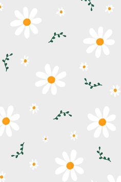 an image of white and orange daisies on grey background with green stems in the foreground