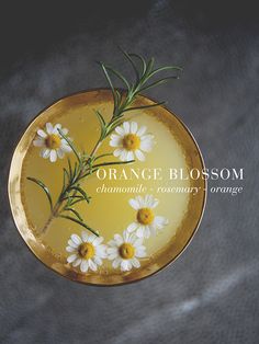 an orange blossom dish with white daisies on it and the words orange blossom above it